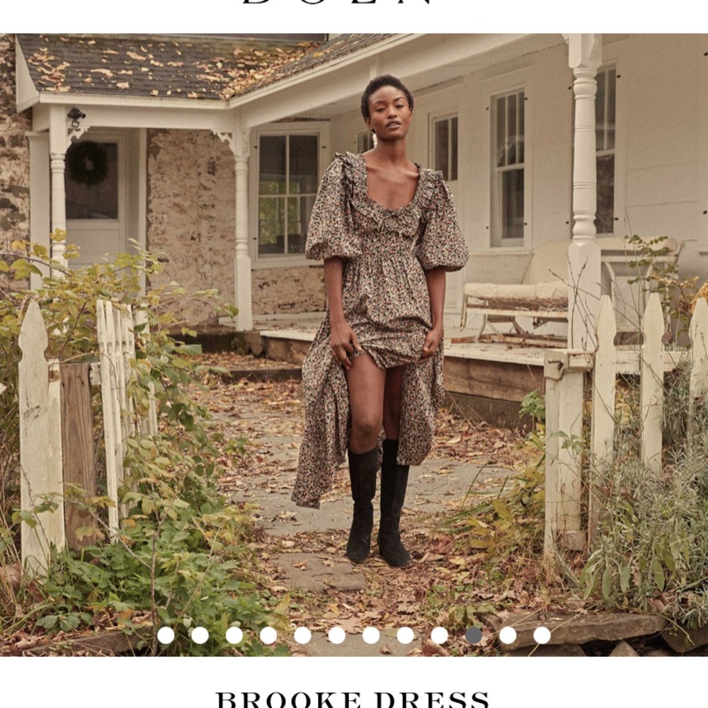 Doen Brooke dress nwt xs